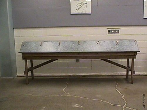 Palpation Table - Front View.