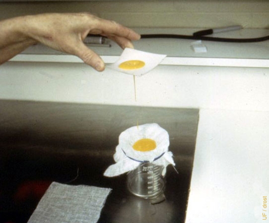 Egg Yolk Extender.