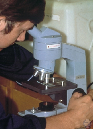 Examination by Microscope.
